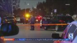 Grandmother murdered in Compton drive-by shooting