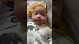 Hello #baby #babycallingpapa #reels #babyaction #cutebaby #cute #babycalling #cutepet #papagirl