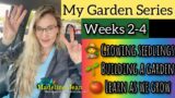 How To Create A Garden | Weeks 2-4