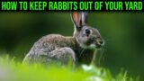 How To Keep Rabbits Out of Your Yard – (Quick & Easy)
