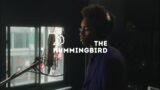 Hummingbird Sessions 26 – JAE WOLFSBANE