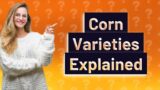 Is cracked corn the same as feed corn?