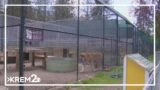 Local wildlife center considering expansion and relocation