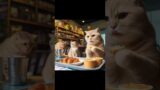 Manager at a cat cafe for a day #shorts #cat #cute #story #cafe