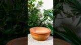 Mira's Terracotta products embody the essence of Bangladeshi living with a blend of sustainability