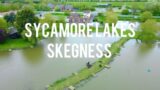 ONE MORE CATCH: Sycamore lakes 2.0