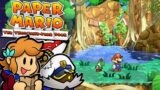 PAPER MARIO: THE THOUSAND-YEAR DOOR – 100% Completion! – Part 5