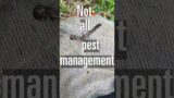 Pest Control Can Happen Naturally