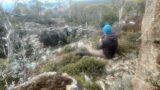 Secret Hidden Hut Ruin on Mount Kunanyi/Wellington Range