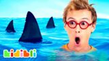 Shark Compilation for Children | Educational Animal Videos for Kids | Kidibli