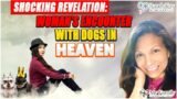 Shocking Revelation: Woman's Encounter with Dogs in Heaven