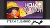 Steam Cleaning – Hello Goodboy