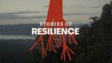 Stories of resilience: The rescue of seeds and the return to the soil