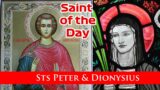 Sts Peter And Dionysia  – Saint of the Day with Fr Lindsay – 15 May 2024