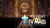 Sunday TV Mass – May 19, 2024