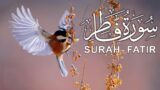 Surah Fatir | The Surah Emphasizes the Importance of Faith, Righteousness, and Good Deeds
