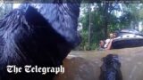 Texas police officer rescues man and dogs from floodwaters