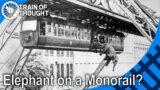 That time an Elephant accidentally jumped out of a German Monorail – Tuffi the Elephant