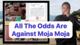 The Stars,Sun,Moon & All The Odds Are Against Moja Moja.