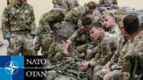 Thousands of U.S., United Kingdom, France, Germany Army Soldiers Participating Swift Response 24