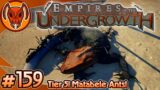 Tier 5 Matabele Ants! Version 1.0 LET'S GOOOOOOOO! | Empires of the Undergrowth – Part 159