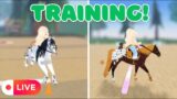 Training Up My Horses! Come Train With Me! | Wild Horse Islands