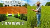 Transforming Red Clay into Healthy Soil: 3 Year Results