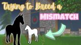 Trying to Breed a MISMATCH! | Wild Horse Islands