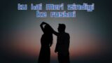 Tu Hai Meri Zindigi ke Roshni || HindiSongromantic || Dreamscape ||#lovesongs ||#romanticsong