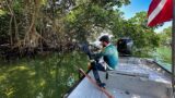 What Makes Me Happy | Harvesting Our Food | Natural Spring – Key West, FL