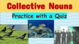 What are Collective Nouns? | Definition with Examples | QUIZ | #SVADHYAYA