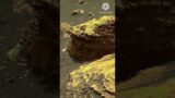 New 4k Video Footage Of Mars Surface #YouTube #Shorts