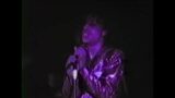 (60 FPS, Unaltered version) Prince Live – Purple Rain – Minneapolis (USA) 1983