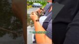 A homeless raccoon met a kind person #shortvideo #rescue #raccoon #animals #shorts