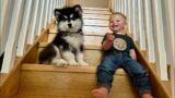 Adorable Baby Boy And Puppy learn To Climb Stairs! (Cutest Ever!!)