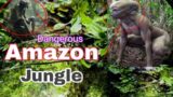 Amazon jungle history in Hindi ||Amazon jungle ka rahasya | Amazon forest facts | Amazon forest