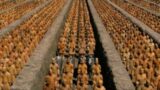 America's Version of Terracotta Army