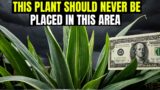 Avoid This Plant ! It Attracts Debt And Poverty In Your Home