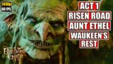 Baldur's Gate 3 Gameplay Walkthrough [Full Game PC – Act 1 – The Risen Road – Auntie Ethel] No Comm