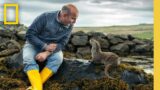 Billy & Molly: An Otter Love Story (Full Documentary Special) | National Geographic