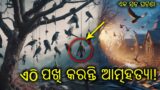 Birds are committing suicide in jatinga villege : Birds death mystery