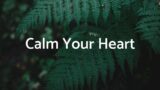 Calm Your Heart – Soft Lofi Mix [chill lo-fi hip hop beats]