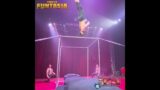 Circus Funtasia New Revolution Troup Acrobatics #shorts