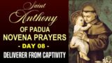 DAY 08 SAINT ANTHONY OF PADUA NOVENA PRAYERS – DELIVERER FROM CAPTIVITY