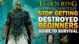 DONT SKIP THIS In Elden Ring Shadow Of The Erdtree