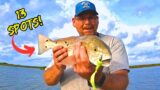 Dauphin Island Redfish and Flounder! Check Out all Those SPOTS!