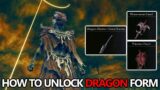 Elden Ring Erdtree – How to Unlock Dragon Form (Defeat Bayle) & Priestess Heart, Flowerstone Gavel