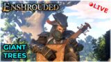 Enshrouded: Melodies of the Mire Update – Giant Trees and more NEW Content!