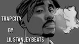 [FREE] INSTRUMENTAL TRAP CITY BEAT MELODIE 2K24 | (PROD BY LIL STANLEY BEATS)