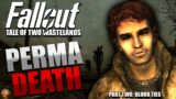 Fallout 3 but I save a town from vampires | Permadeath Playthrough